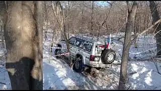 Фестиваль 
