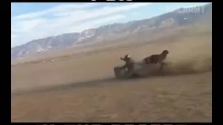 Fun in the desert