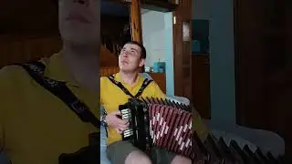 Попурри на татарские народные на тальянке.
