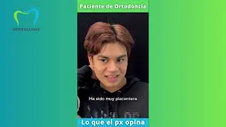 PX ORTODONCIA - DENTALCOVE