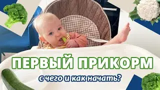 ВСЁ о нашем первом прикорме: педиатрический и педагогический прикорм, порядок ввода продуктов.