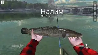 Ultimate Fishing simulator#2 ловля налима
