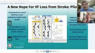 New hope for visual field loss from stroke
