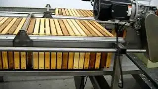 extracting honey
