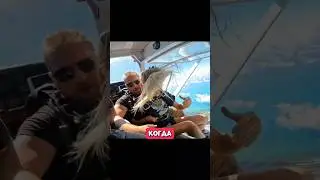 Опасные женские волосы ✈️ #новости #история #истории