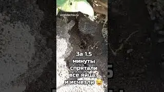 Это что то невероятное 