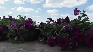 Файне місто Тернопіль 2018
