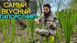 Как я собираю папоротник ОСМУНД! Съедобный дикорос острова Сахалин