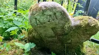 Inside. Cemetery on a hill. Looking for tombstones and stone crosses. (Novg. region).