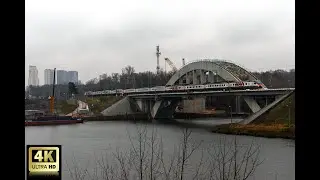 Парк имени Л.Н. Толстого. 12.11.2023 год. Химки.