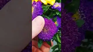 конец августа☺