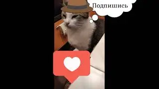 София и Кузьма(TM).