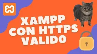 How to Enable HTTPS on XAMPP: A Complete Guide with a Custom SSL Certificate