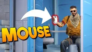 Tive que levar o MOUSE pro BANHEIRO!!! 🤣🤣🤣
