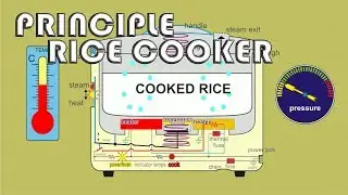 Animation principle how to work rice cooker rice warmer