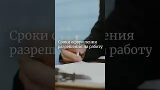 Сроки оформления разрешения на работу. Полное видео уже на нашем канале