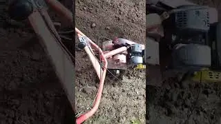 фрезеруем огород мотоблоки.