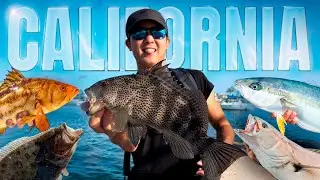 Southern California Species Hunt | (Harbor fishing, Calico Bass & Yellowtail!)