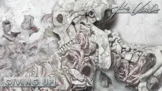 The Used - Giving Up [Visualizer]
