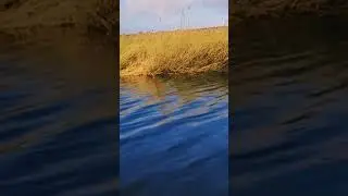 Лето