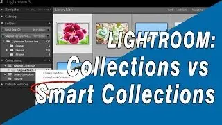 How to Use Lightroom Collections and Smart Collections