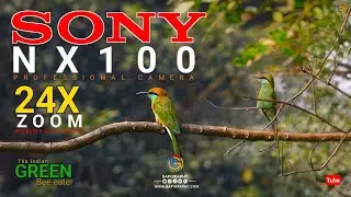 How to Sony NX100 Wildlife Videography | SONY NX100 | Birds | 24x zoom | bapigraphy | #wildlife