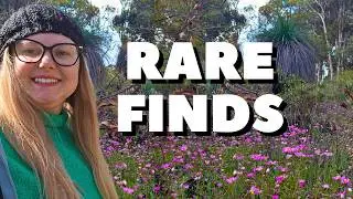 Finding Crystals and Wildflowers in the Forest