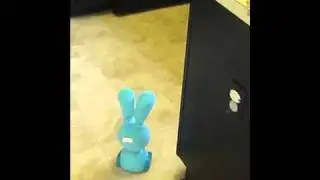 Hide and Seek