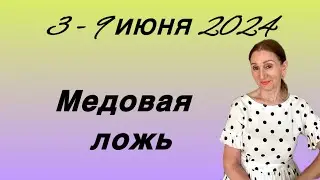 🔴 3 - 9 июня 🔴 Мед - Ложь…. Розанна Княжанская
