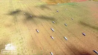 Погрузка арбуза Холодок 300 тонн 07 09 2016