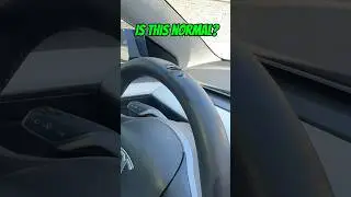Tesla build quality still suffering in 2024? 😳