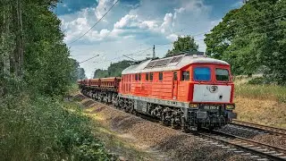 Sichtungen aus Struveshof 19.06.2021