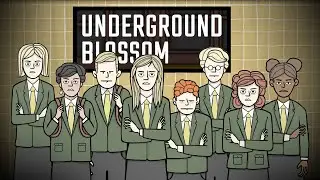 ИНТЕЛЛЕКТУАЛЬНОЕ РАССЛЕДОВАНИЕ | Underground Blossom | [2]