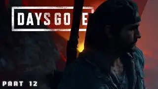 Days Gone: Fighting Reachers in a Freaker Apocalypse | Gameplay [Part 12]