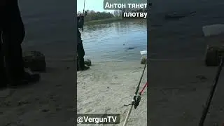 Антон тянет крупную плотву на острове Зеленый 