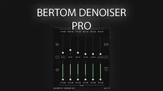 Is Bertom Denoiser Pro worth it?