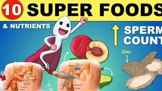 Sperm Counts Increase Food in English | Male Testosterone levels Increase