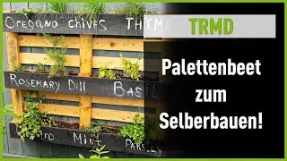 Palettenbeet für Garten und Balkon: DIY-Tutorial