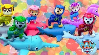Paw Patrol Mighty Pups Covered in Orbeez! Can You Help Us Find Them?