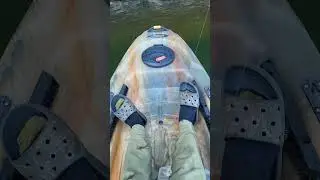 Late Summer Whopper Plopper Fishing Lake Lanier
