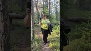 Утренняя прогулка ирландского мягкошерстного терьера и карело-финской лайки