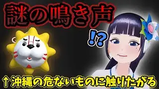 【沖縄】謎の鳴き声！？むやみに触っちゃうキクノジョー【富士葵 切り抜き】