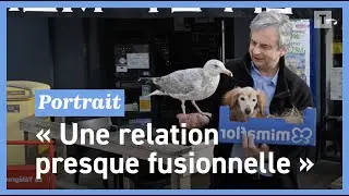 Ce goéland s’est lié d’amitié et vit chez ce Brestois et son épagneul