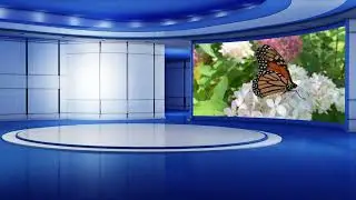 Free News Studio Background Set, Green Screen Studio Background
