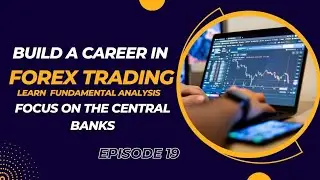 Focus On The Central Banks in Forex | Episode 19