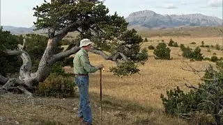 Backroads of Montana | Sales and Tales