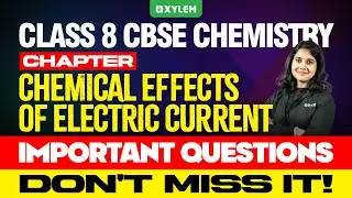 Class 8 CBSE Chemistry - Chemical Effects Of Electric Current | Xylem Class 8 CBSE
