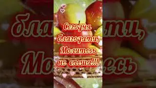 19 Августа.. | Яблочный спас | #love