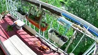 Разбежались🌱Испугались🌱Вернулись🌱Три белки