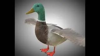 3D Model Duck PBR Bird Rigged Low poly at 3DExport.com